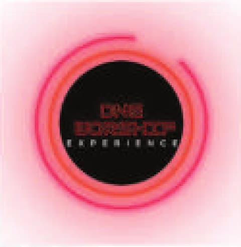 DNB Workshop Experience logo